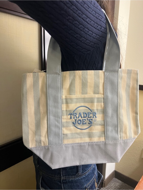 Trader Joe'S Handbags - NWT Trader Joe's Striped Mini Canvas Tote Bag - Light Blue & Cream